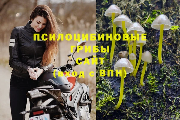 молекула духа Лабытнанги