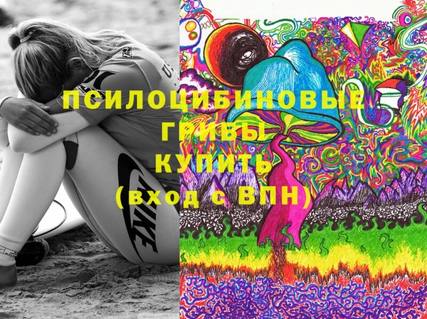 PSILOCYBIN Ладушкин
