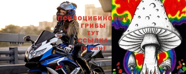 молекула духа Лабытнанги