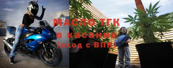 молекула духа Лабытнанги