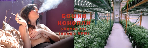 молекула духа Лабытнанги