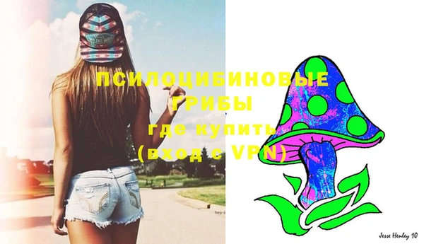 хмурый Лиски