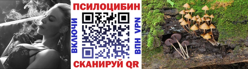 Галлюциногенные грибы Cubensis Купить где Нариманов